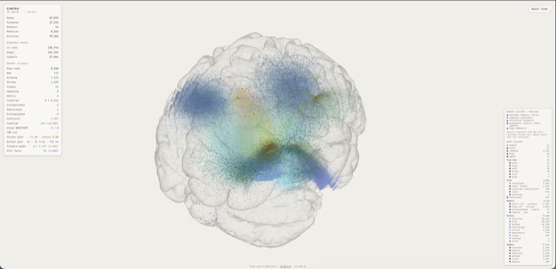 Vue 3D Brain — 125 744 nœuds projetés dans un maillage cortical anatomique translucide ; mémoires épisodiques dans le lobe temporal médian s'estompant vers le néocortex selon un gradient de profondeur chaud vers consolidé, entités sémantiques et symboles de code dans le cortex associatif, compétences procédurales vers le striatum et le cervelet, hubs de domaines aux centres rich-club du connectome. Le panneau de gauche affiche les comptes de nœuds, synapses, domaines, mémoires et entités ; celui de droite légende les régions des systèmes de mémoire.
